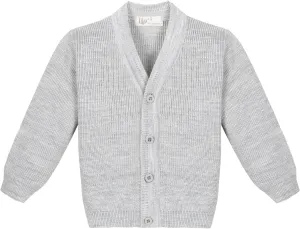 Lilax Baby Boys Basic Long Sleeve V-Neck Classic Knit Cardigan Sweater
